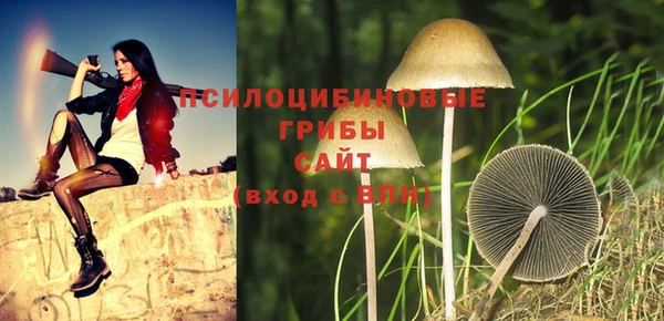 PSILOCYBIN Горняк