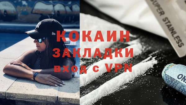 PSILOCYBIN Горняк