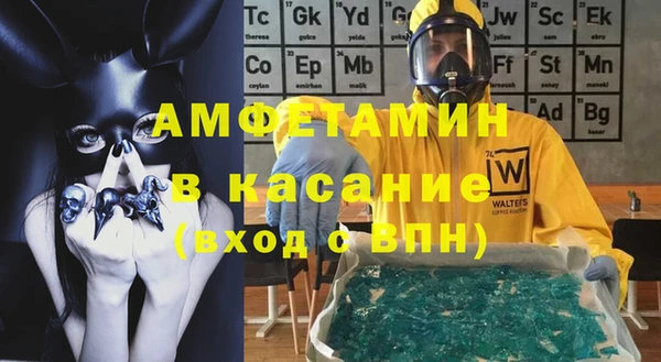 PSILOCYBIN Горняк