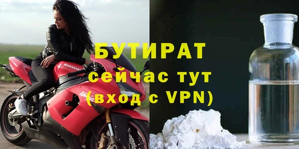 PSILOCYBIN Горняк