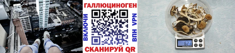 Псилоцибиновые грибы прущие грибы  где купить наркотик  Нижневартовск 